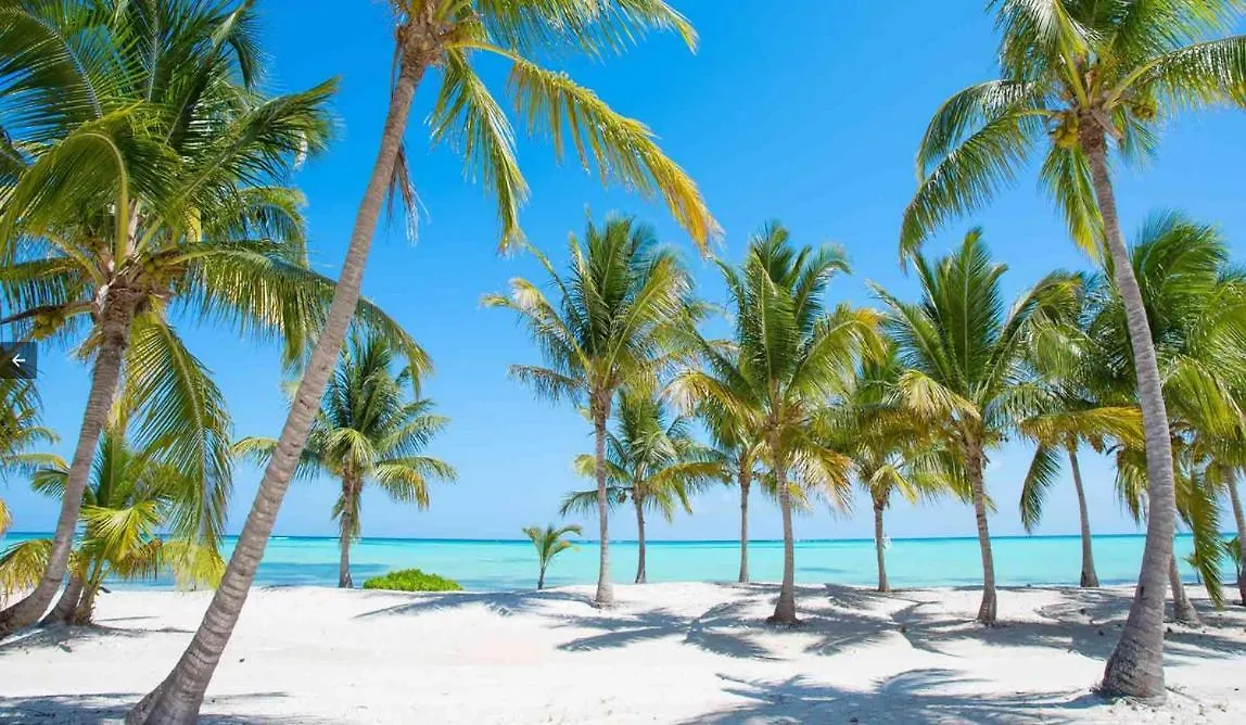 Coral Studios Deluxe Playa Los Corales 푼타 카나
